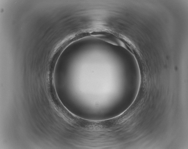 X0000082710535200701261313