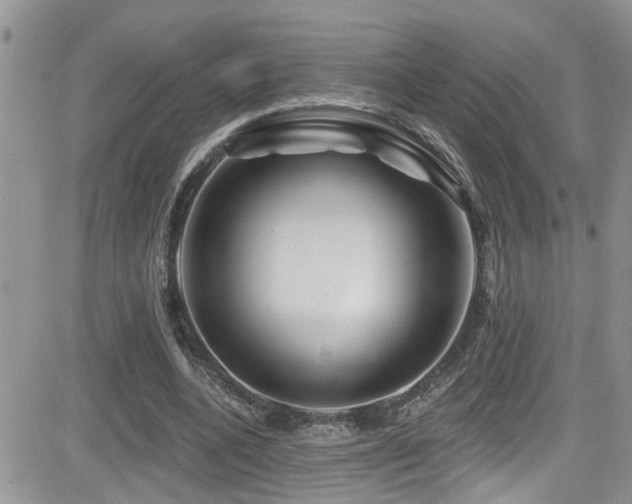 X0000082710536200701261313