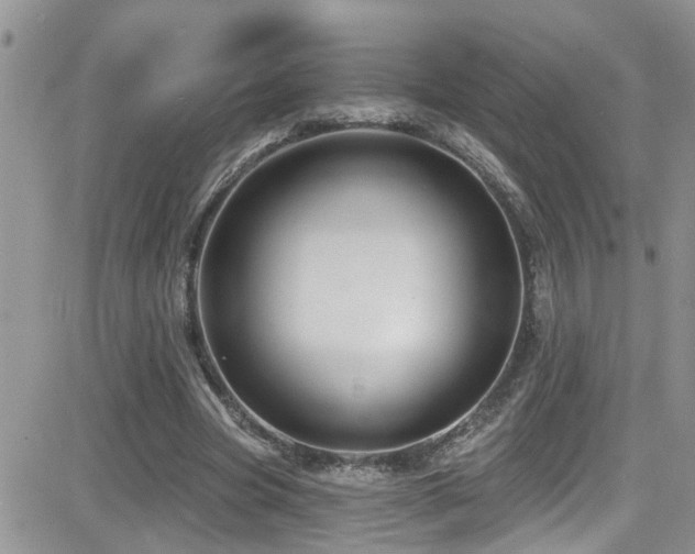 X0000082710537200701261313