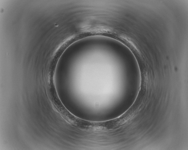 X0000082710539200701261313