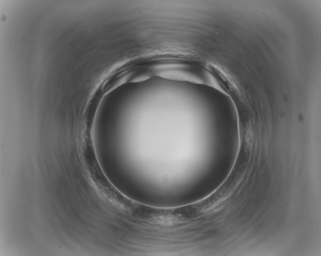 X0000082710540200701261313