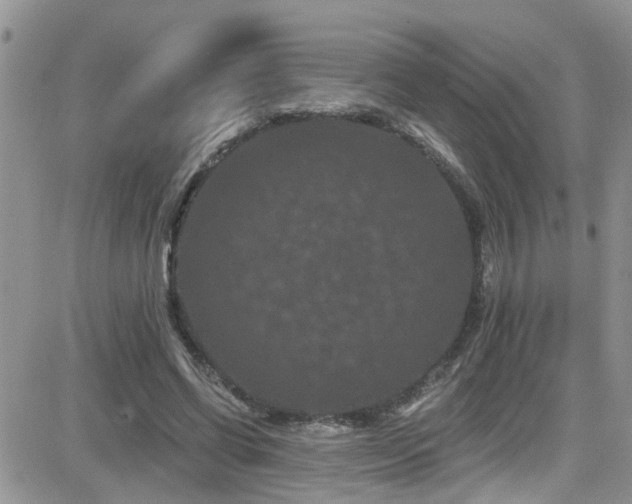 X0000082710542200701261313