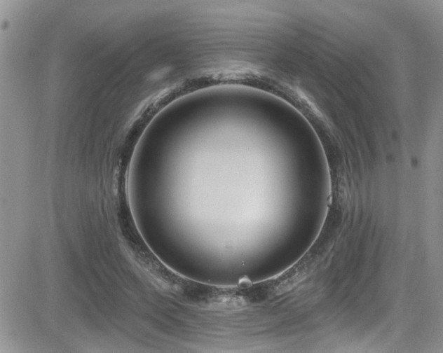 X0000082710543200701261313