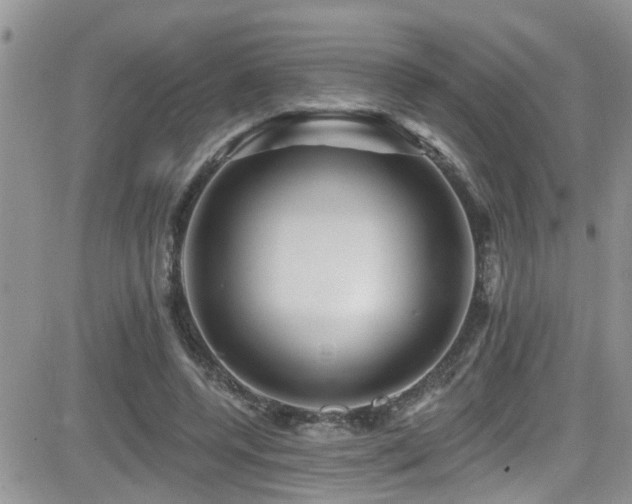 X0000082710544200701261313