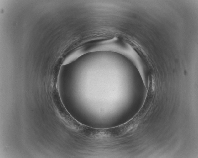 X0000082710546200701261313