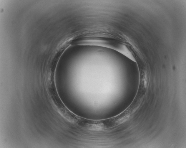 X0000082710548200701261313