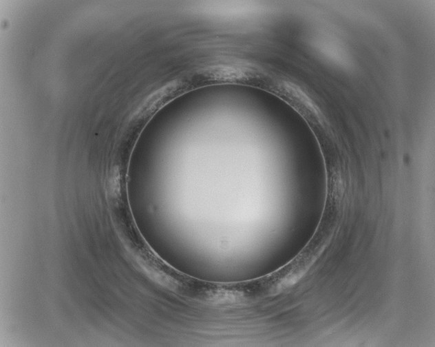 X0000082710549200701261313