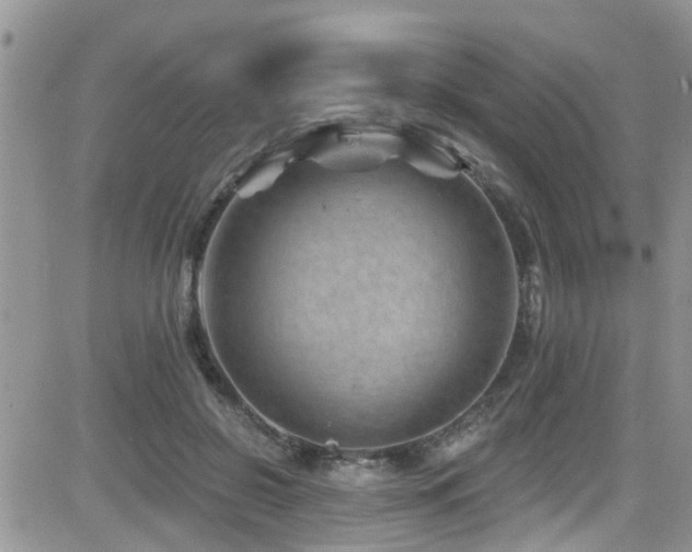 X0000082710550200701261313