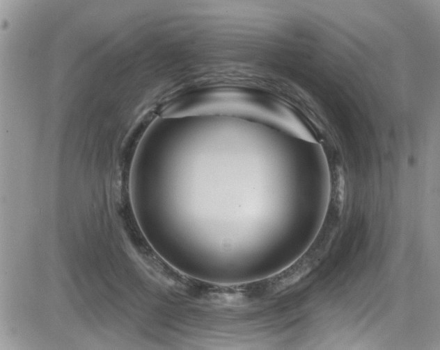 X0000082710552200701261313