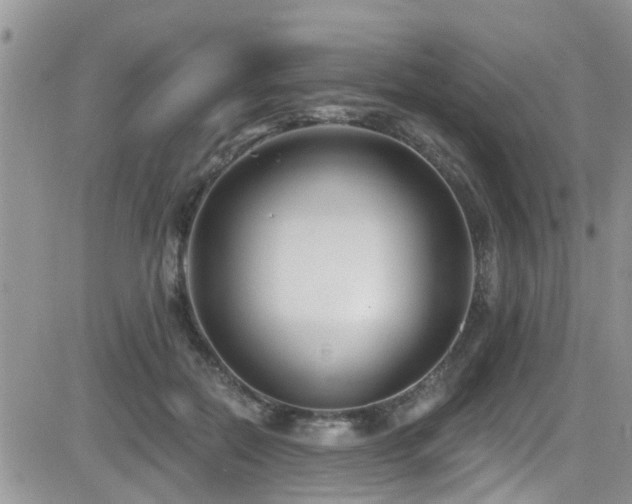 X0000082710554200701261313