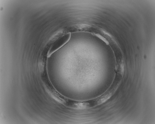 X0000082710558200701261313