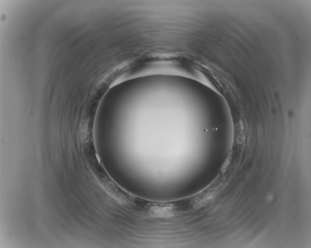 X0000082710560200701261313