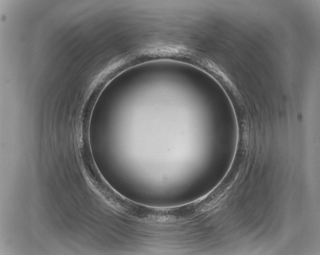 X0000082710582200701261313