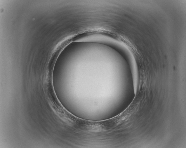 X0000082710583200701261313