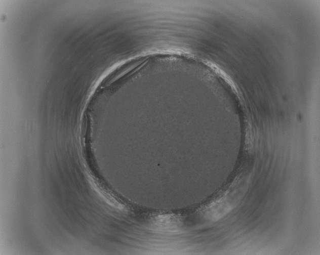 X0000082710584200701261313