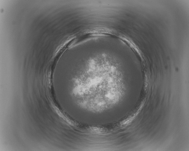 X0000082710585200701261313