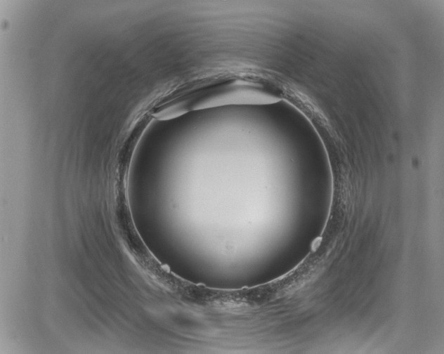 X0000082710586200701261313