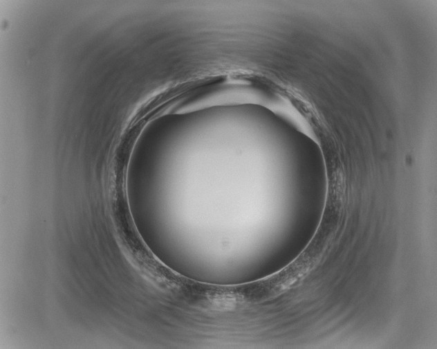 X0000082710587200701261313