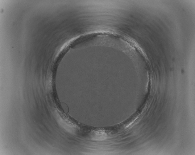 X0000082710588200701261313