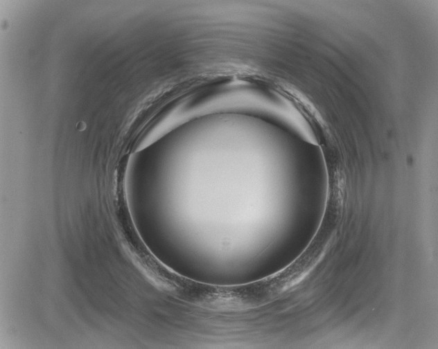 X0000082710589200701261313