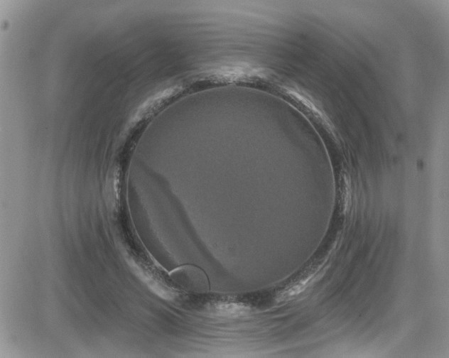 X0000082710590200701261313