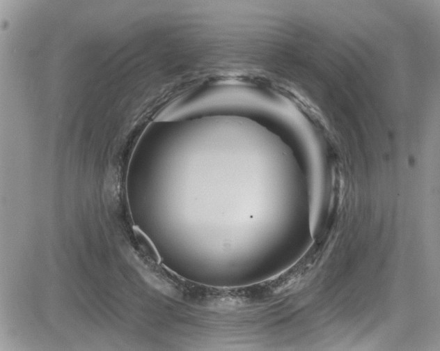 X0000082710593200701261313