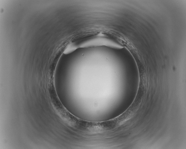 X0000082710594200701261313