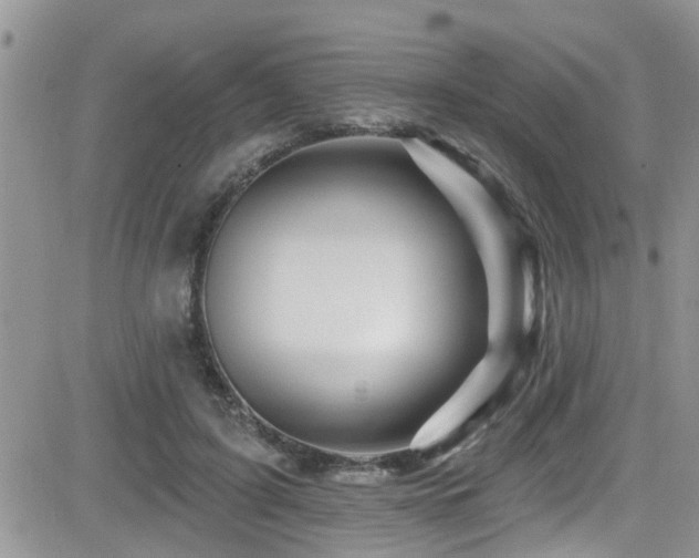 X0000082710595200701261313