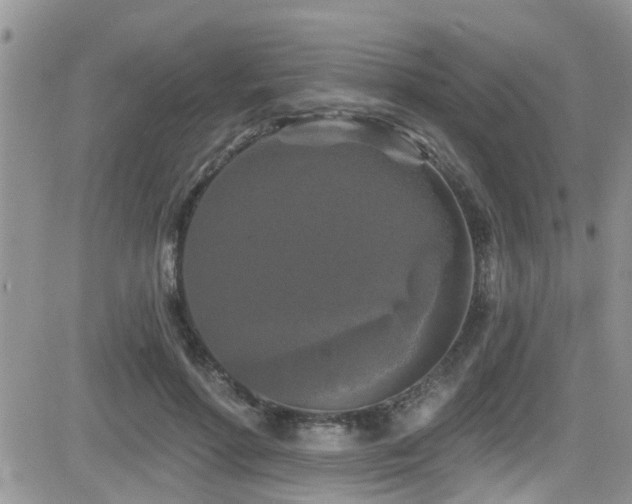 X0000082710598200701261313