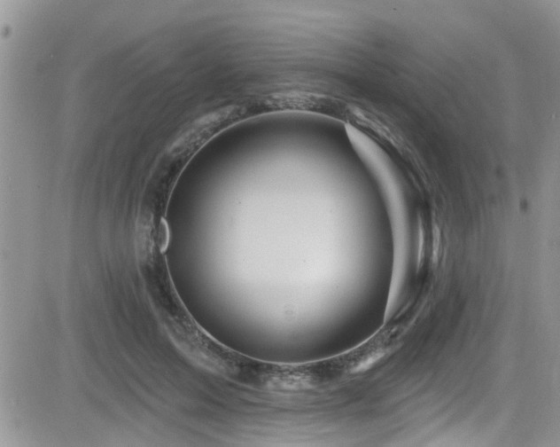 X0000082710599200701261313