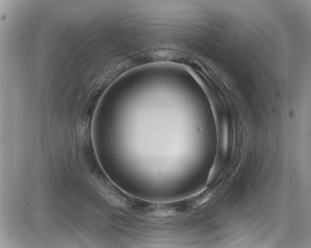 X0000082710601200701261313