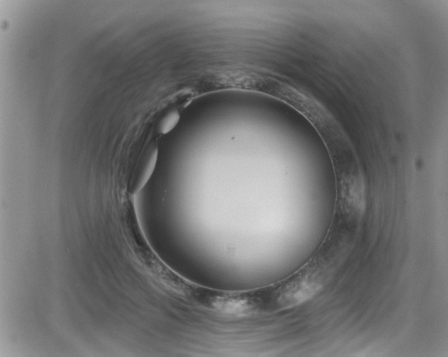 X0000082710602200701261313