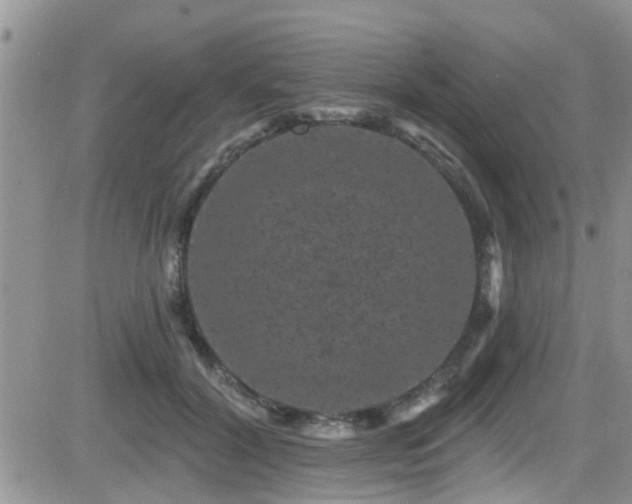 X0000082710604200701261313