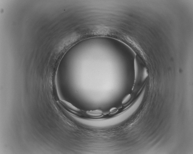 X0000082710681200701261311