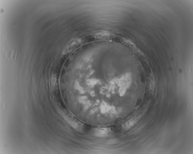 X0000082710711200701261311
