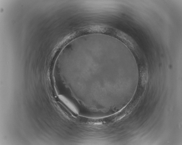 X0000082710729200701261310