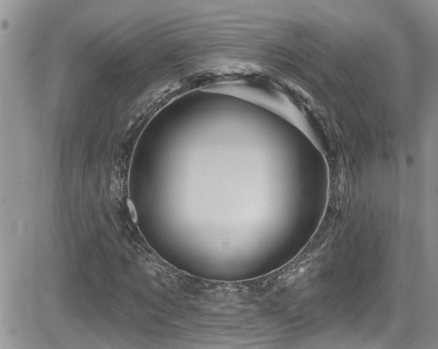 X0000082710869200701261308