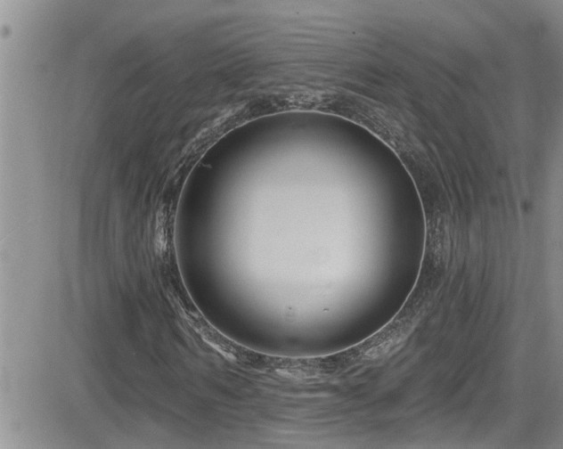 X0000082710962200701261307