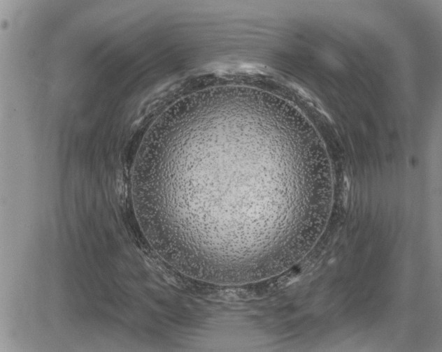 X0000082710966200701261307