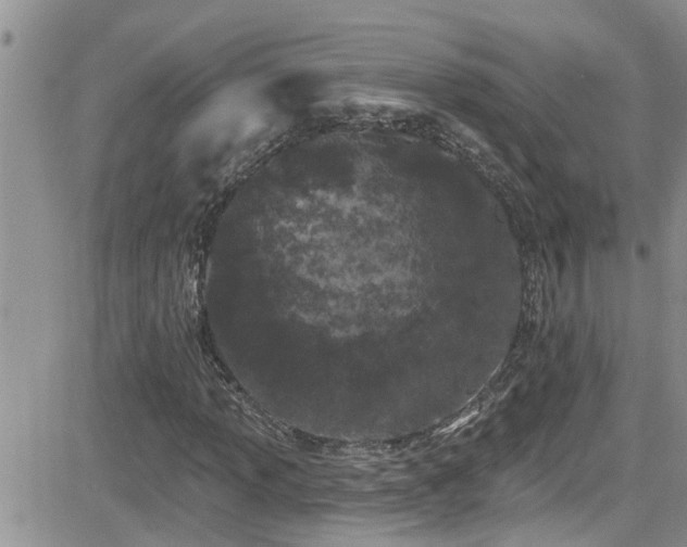 X0000082711013200701261305