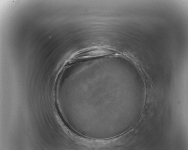 X0000082710002200702021431