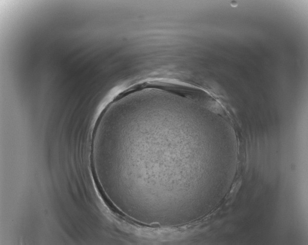 X0000082710003200702021431