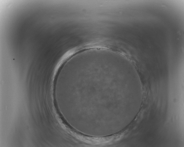 X0000082710006200702021431