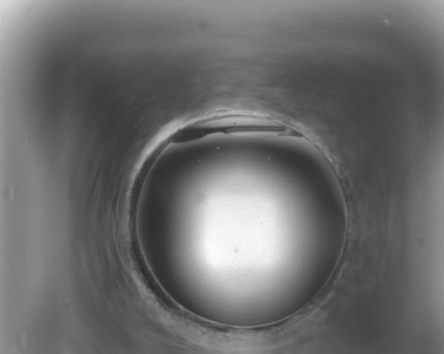 X0000082710008200702021431