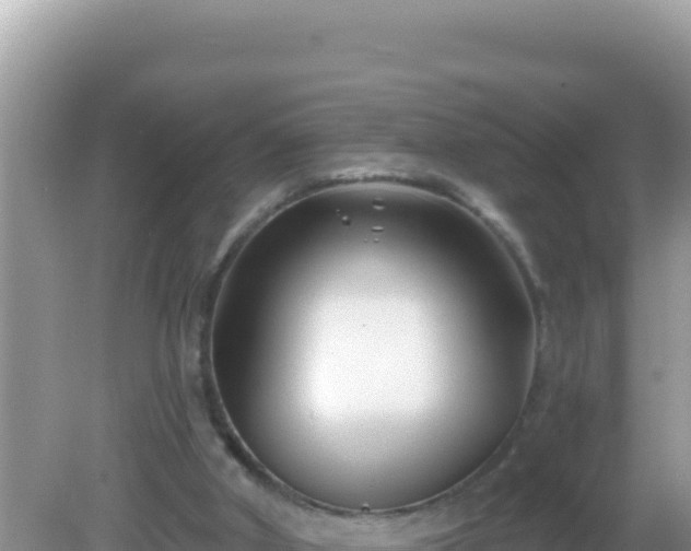 X0000082710010200702021431