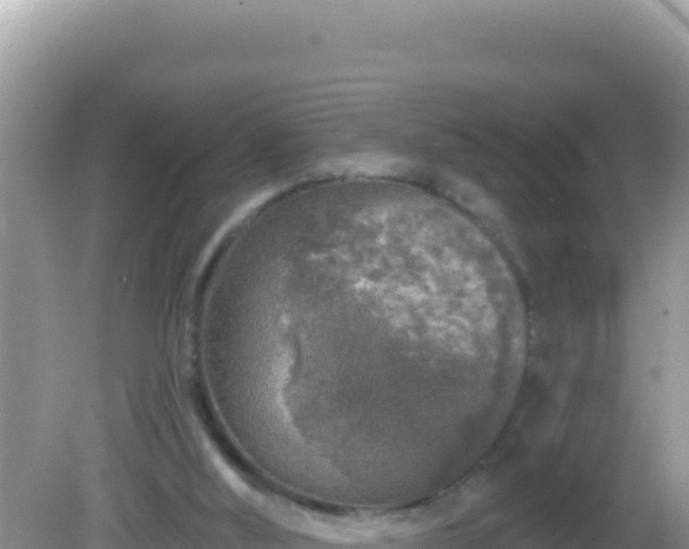 X0000082710012200702021431