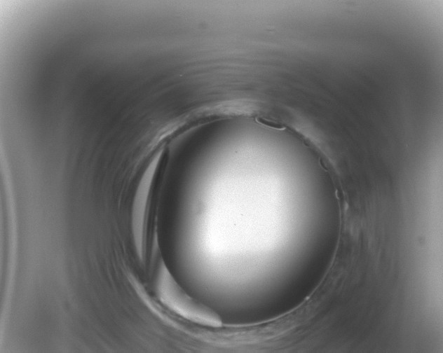 X0000082710013200702021431