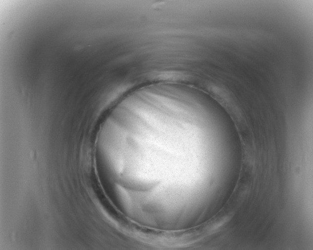 X0000082710016200702021431