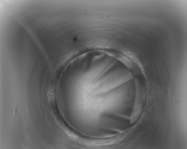 X0000082710017200702021431