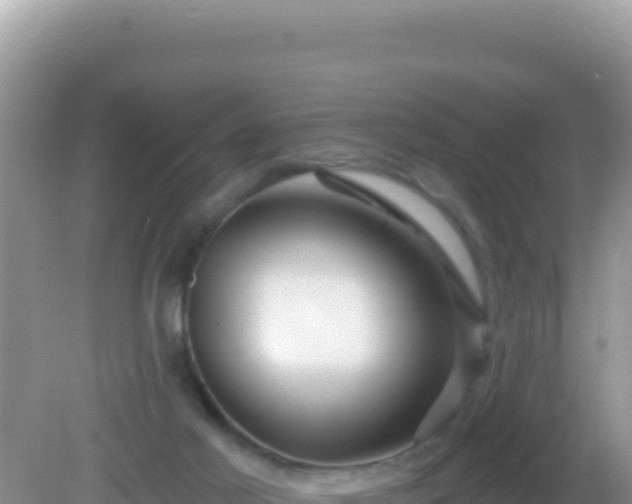 X0000082710021200702021431